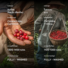 โหลดรูปภาพลงในเครื่องมือใช้ดูของ Gallery เมล็ดกาแฟคั่วเข้ม Blackdog Blend 200g.-1Kg.