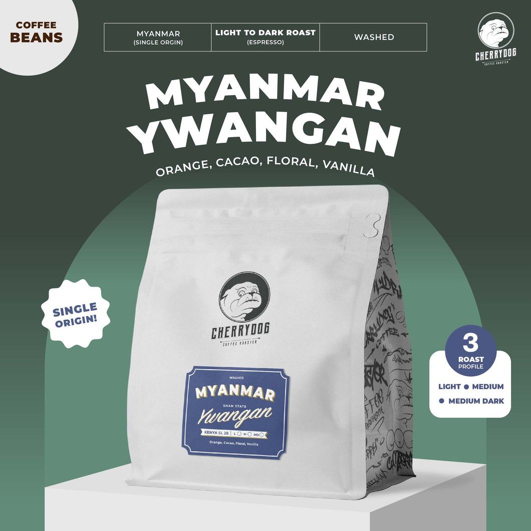 เมล็ดกาแฟคั่ว Myanmar Ywangan Washed